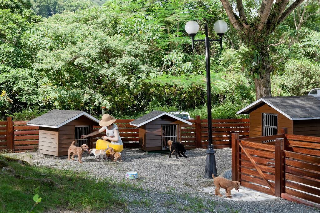 Hotel Royal Chihpin Wenquan Esterno foto A dog hotel in the United States
